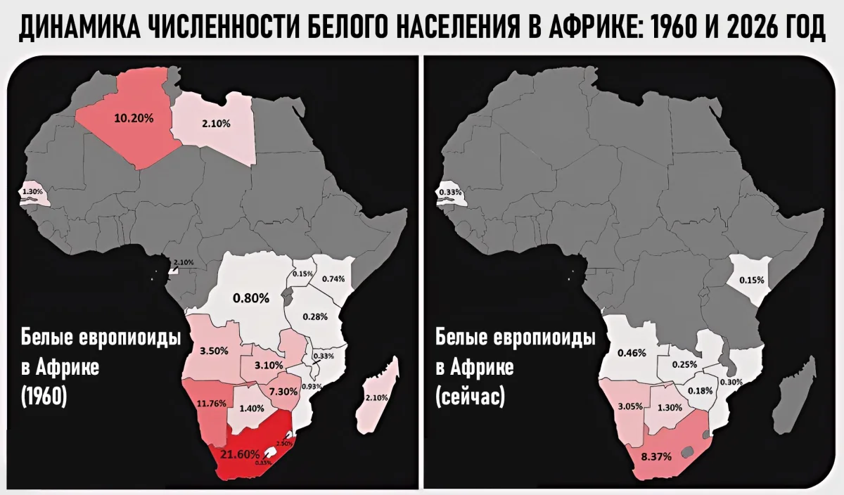 Белое население Африки: цифры, которые пугают Африка, ЮАР, демография, эмиграция, статистика