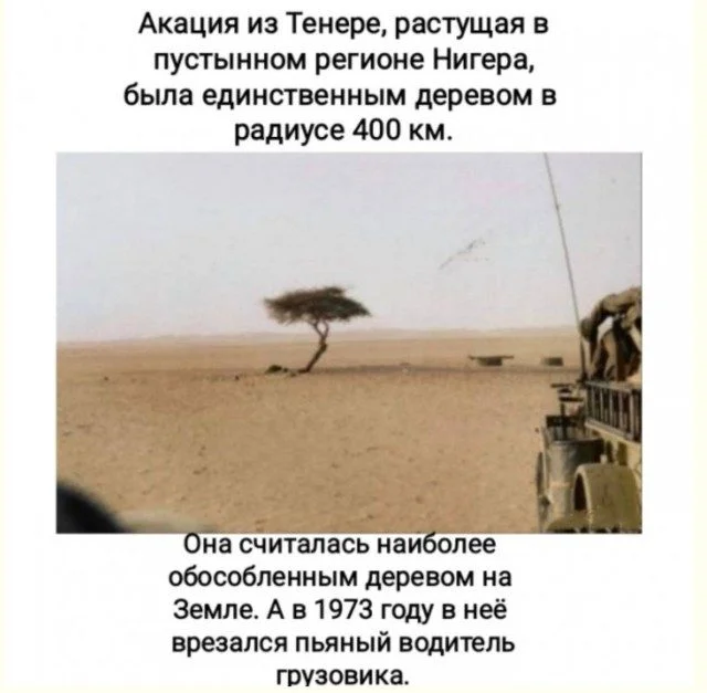 Радужный запас позитива: мемы, которые светятся добротой Радужный запас позитива: мемы, которые светятся добротой позитив, мемы, приколы, картинки, настроение, доброта