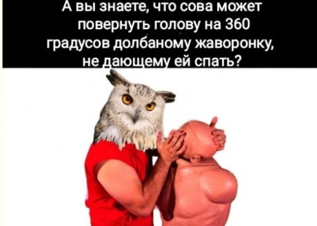 Радужный запас позитива: мемы, которые светятся добротой позитив, мемы, приколы, картинки, настроение, доброта
