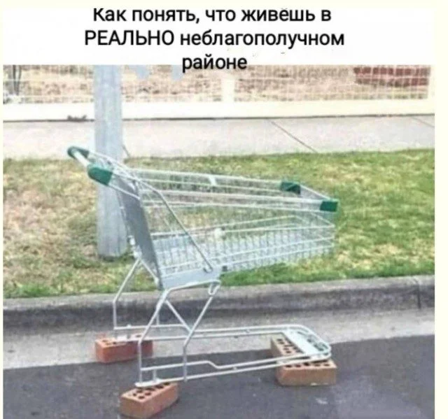Смех без повода — лучшая подборка добрых картинок приколы, картинки, позитив, смех, подборка