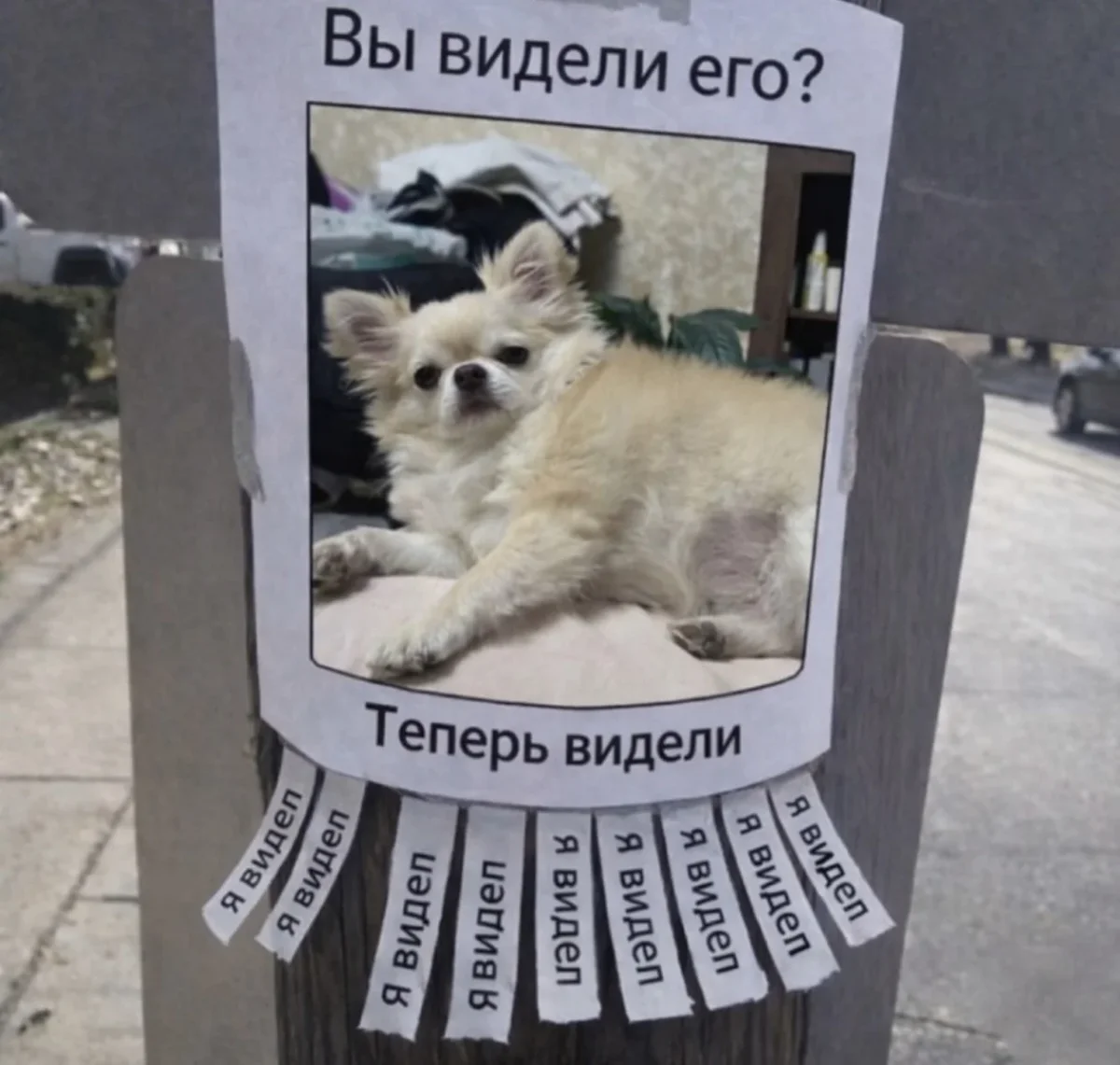 Лучший юмор за неделю Лучший юмор за неделю мемы, юмор, подборка, шутки, приколы
