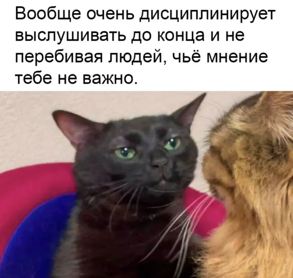 Лучший юмор за неделю Лучший юмор за неделю мемы, юмор, подборка, шутки, приколы