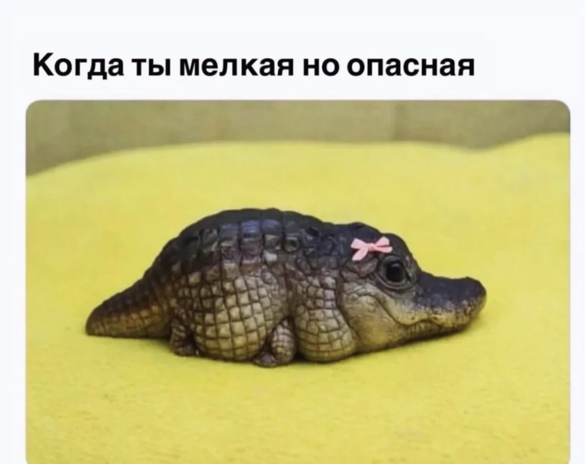 Лучший юмор за неделю Лучший юмор за неделю мемы, юмор, подборка, шутки, приколы