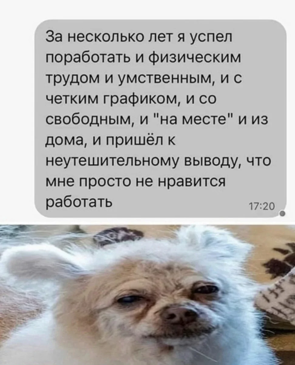 Смешные картинки: кукушки и юмор дня юмор, приколы, картинки, мемы, кукушки