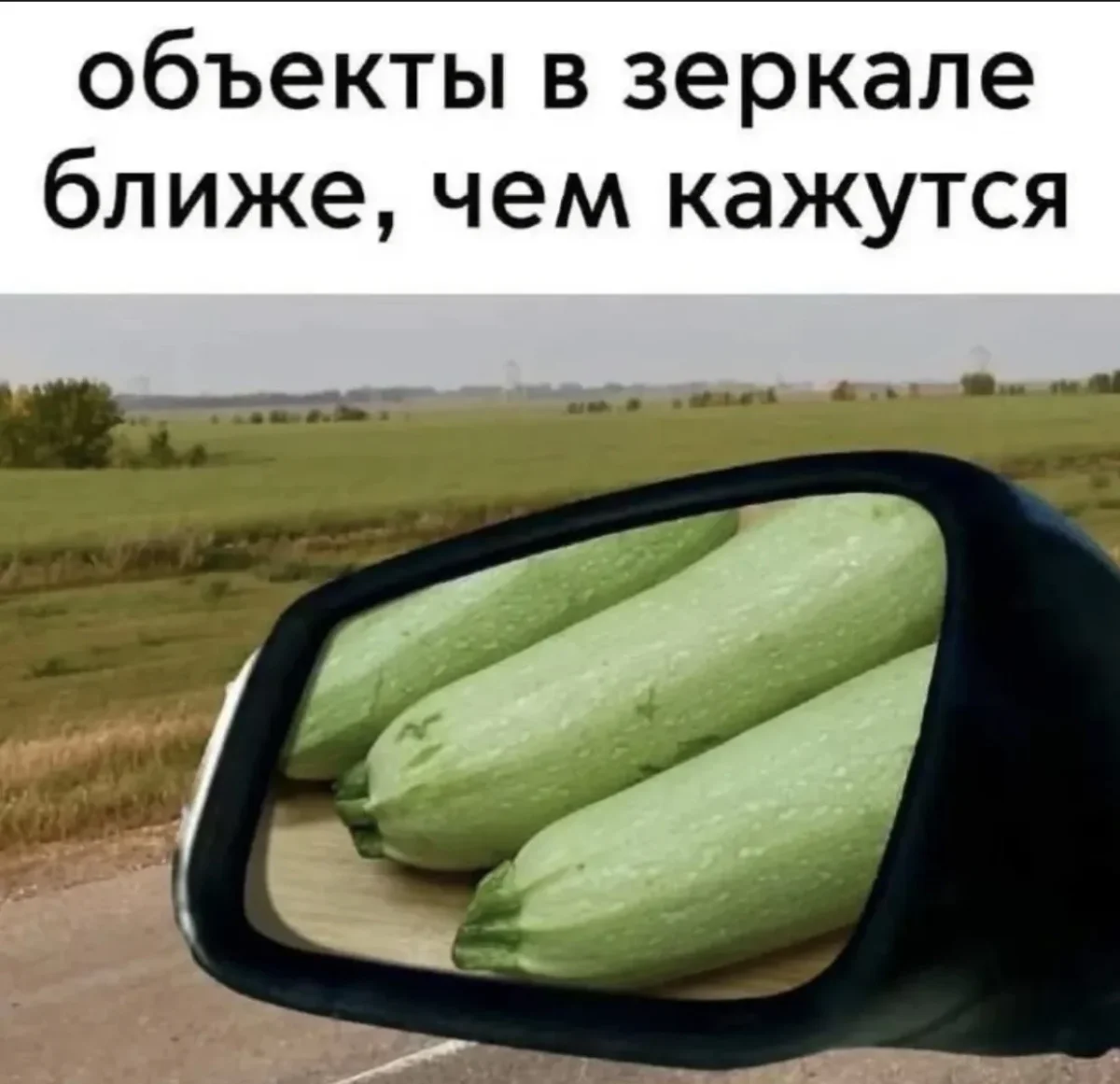 Смешные картинки: кукушки и юмор дня Смешные картинки: кукушки и юмор дня юмор, приколы, картинки, мемы, кукушки