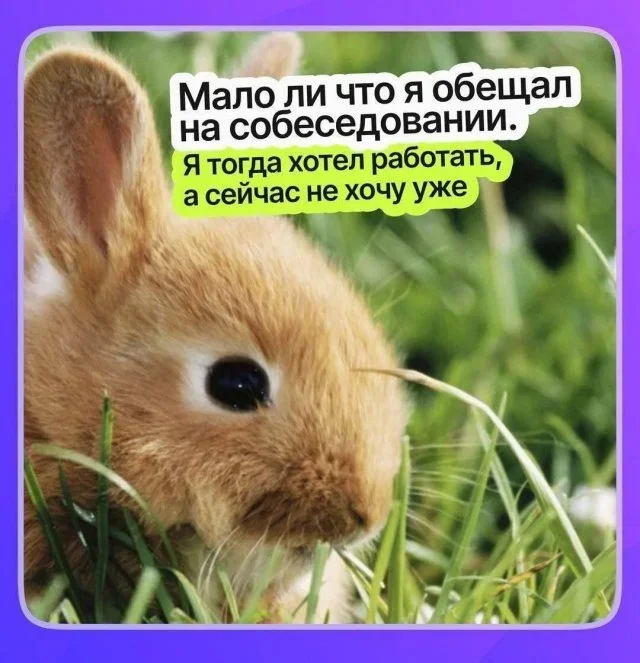 Мемный понедельник: 1 июня в картинках Мемный понедельник: 1 июня в картинках мемы, юмор, подборка, 1 июня, понедельник