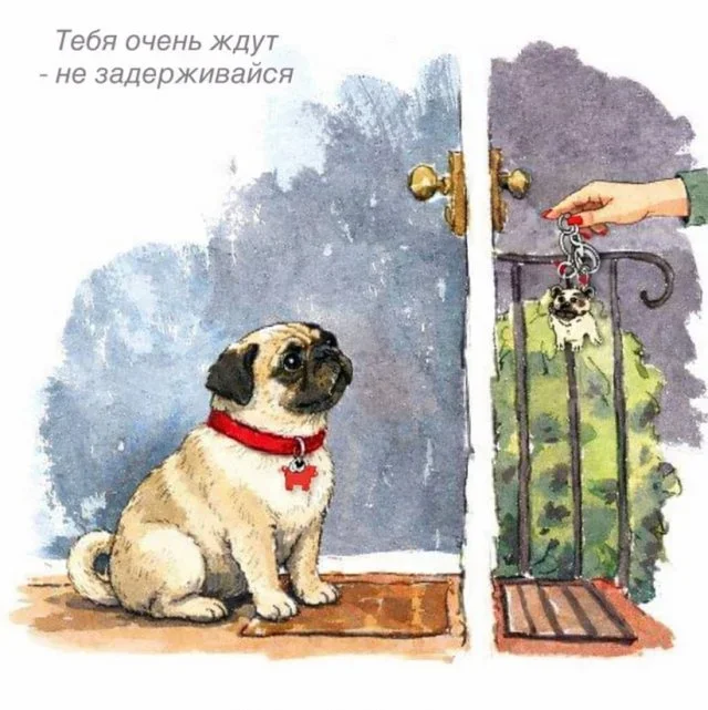 Мемный понедельник: 1 июня в картинках Мемный понедельник: 1 июня в картинках мемы, юмор, подборка, 1 июня, понедельник