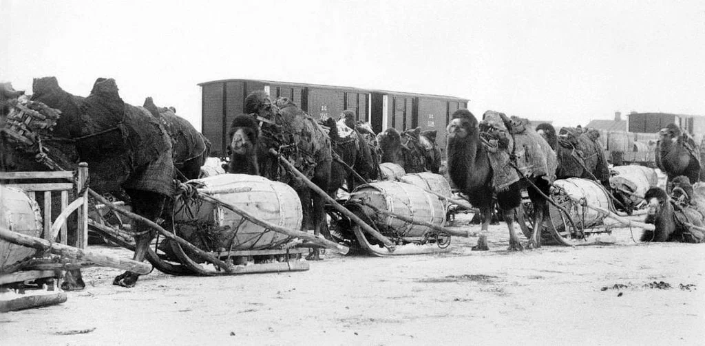 Российская империя в фотографиях: 90 уникальных кадров история, Российская империя, фото, ретро, цари, война, быт