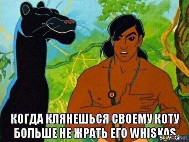 18 убойных «Когда...» для поднятия настроения 18 убойных «Когда...» для поднятия настроения приколы, мемы, когда, подборка