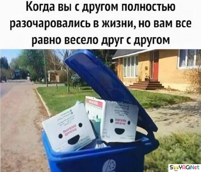 18 убойных «Когда...» для поднятия настроения 18 убойных «Когда...» для поднятия настроения приколы, мемы, когда, подборка