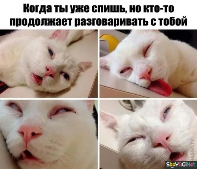 18 убойных «Когда...» для поднятия настроения 18 убойных «Когда...» для поднятия настроения приколы, мемы, когда, подборка