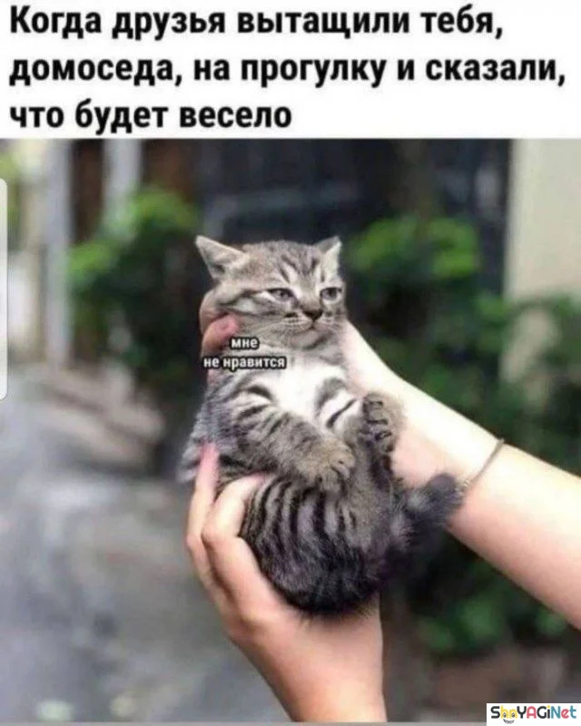 18 убойных «Когда...» для поднятия настроения приколы, мемы, когда, подборка