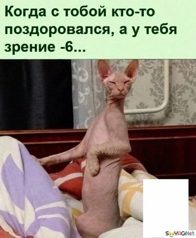 18 убойных «Когда...» для поднятия настроения приколы, мемы, когда, подборка