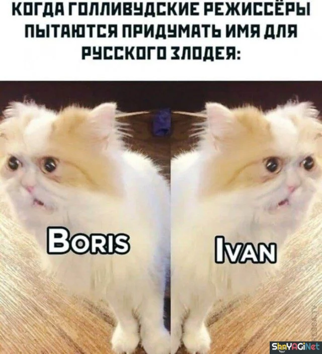 18 убойных «Когда...» для поднятия настроения 18 убойных «Когда...» для поднятия настроения приколы, мемы, когда, подборка
