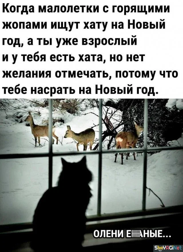 18 убойных «Когда...» для поднятия настроения 18 убойных «Когда...» для поднятия настроения приколы, мемы, когда, подборка