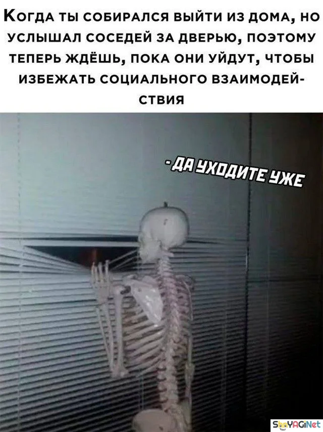 18 убойных «Когда...» для поднятия настроения 18 убойных «Когда...» для поднятия настроения приколы, мемы, когда, подборка