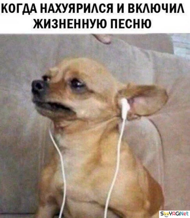 18 убойных «Когда...» для поднятия настроения 18 убойных «Когда...» для поднятия настроения приколы, мемы, когда, подборка