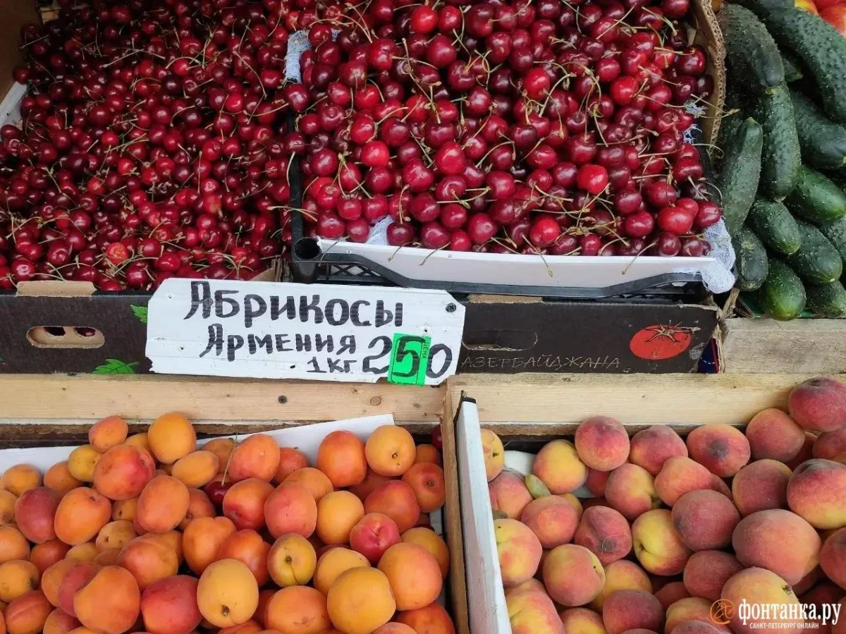 Полный перечень товаров из Армении, запрещенных к ввозу в РФ в конце весны 2026 года Армения, запрет, ввоз, Россия, продукты, Россельхознадзор, Роспотребнадзор, ограничения
