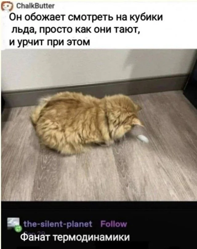 Мозголомные мемы: сборник абсурда мемы, приколы, абсурд