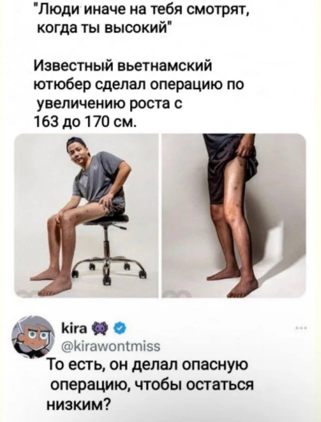 Мозголомные мемы: сборник абсурда мемы, приколы, абсурд