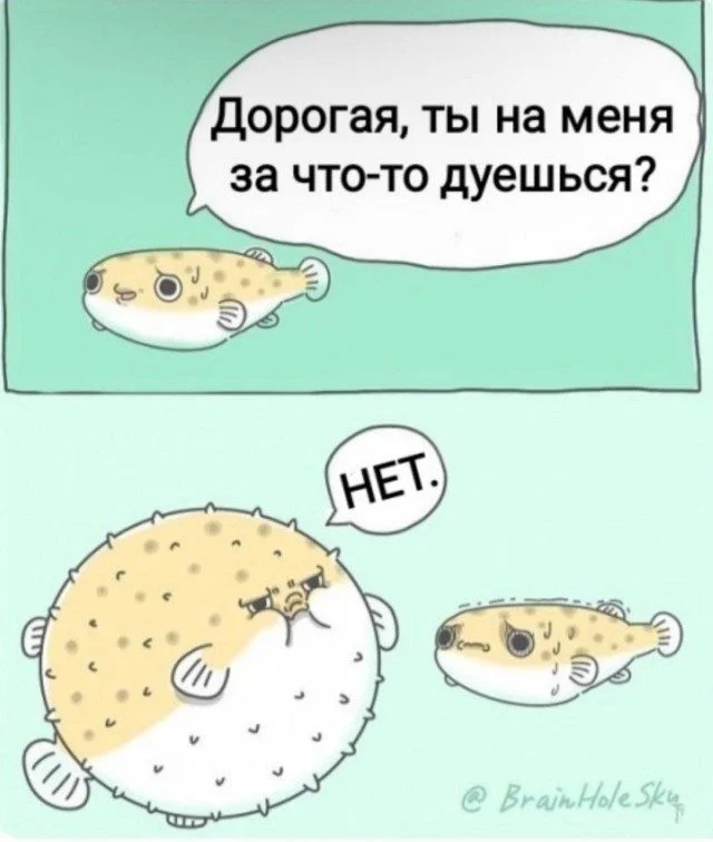 Мозголомные мемы: сборник абсурда мемы, приколы, абсурд