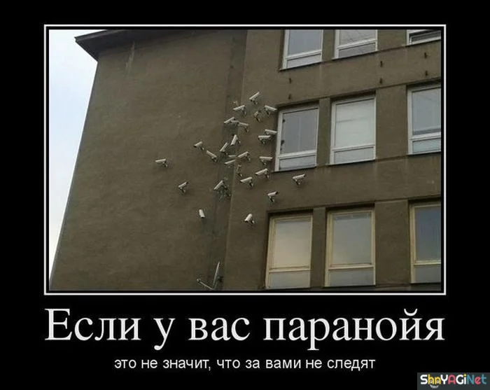 Убойные демотиваторы: заряд позитива на весь день демотиваторы, приколы, юмор, позитив, картинки