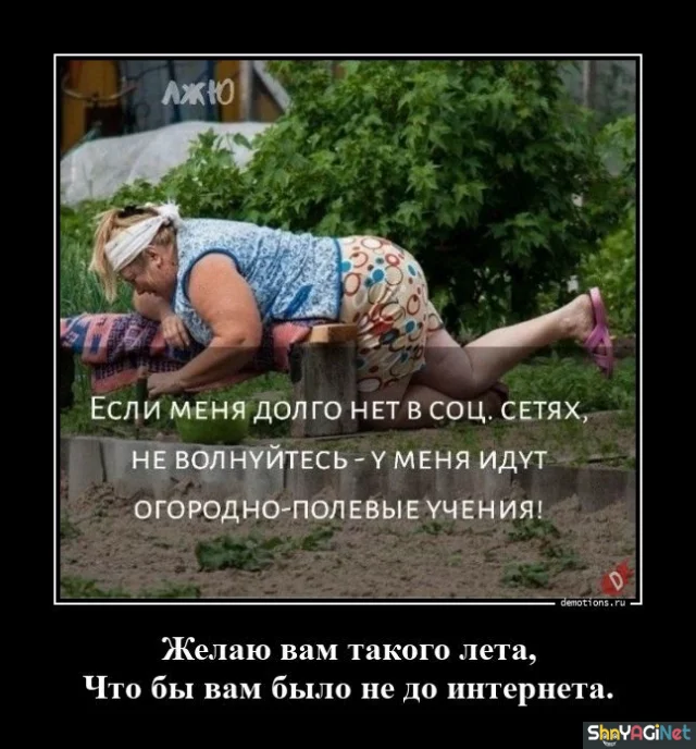Убойные демотиваторы: заряд позитива на весь день демотиваторы, приколы, юмор, позитив, картинки