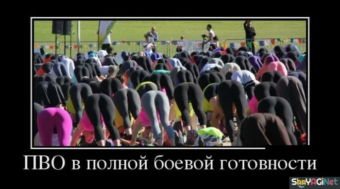 Убойные демотиваторы: заряд позитива на весь день демотиваторы, приколы, юмор, позитив, картинки