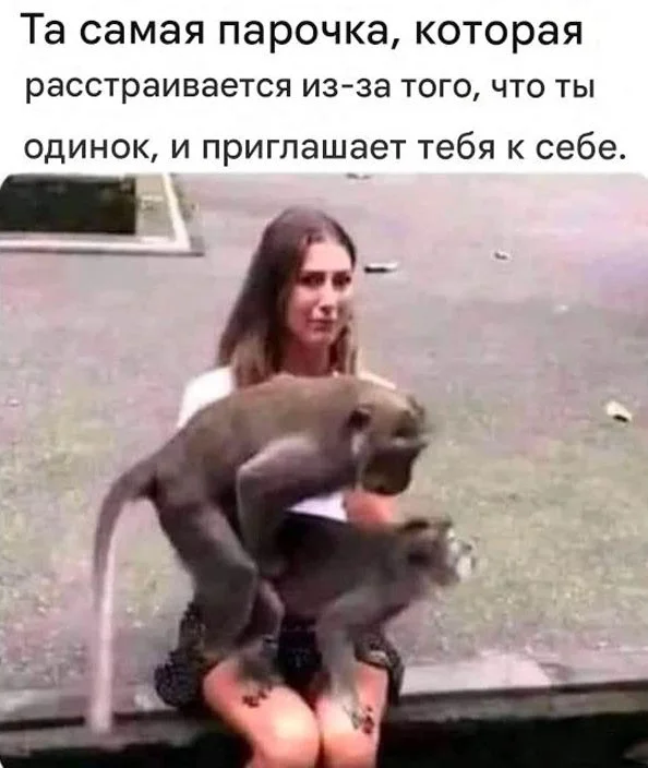 Порция смеха: лучшие мемы дня Порция смеха: лучшие мемы дня мемы, приколы, юмор, подборка