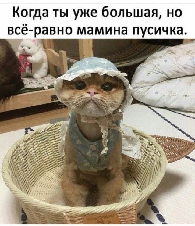 Порция смеха: лучшие мемы дня Порция смеха: лучшие мемы дня мемы, приколы, юмор, подборка