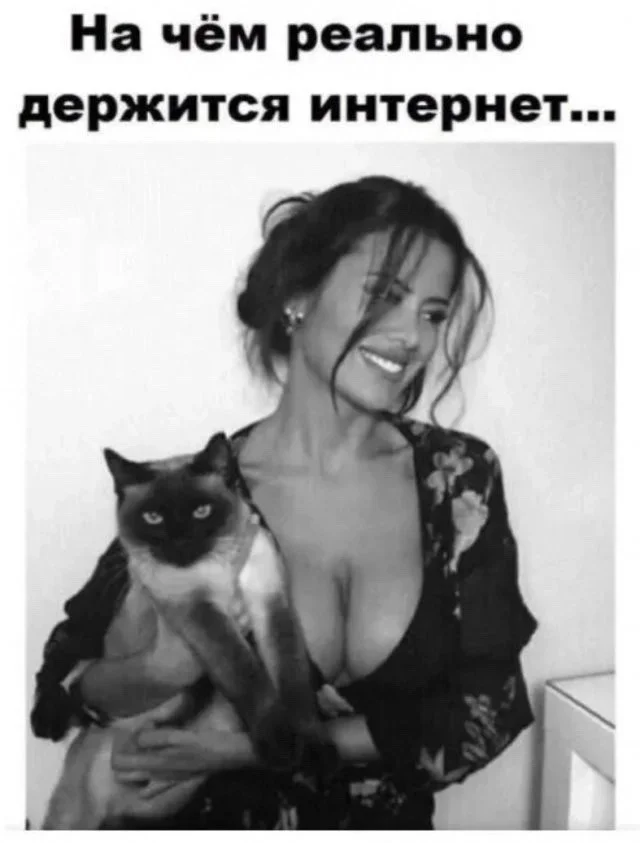 Порция смеха: лучшие мемы дня Порция смеха: лучшие мемы дня мемы, приколы, юмор, подборка