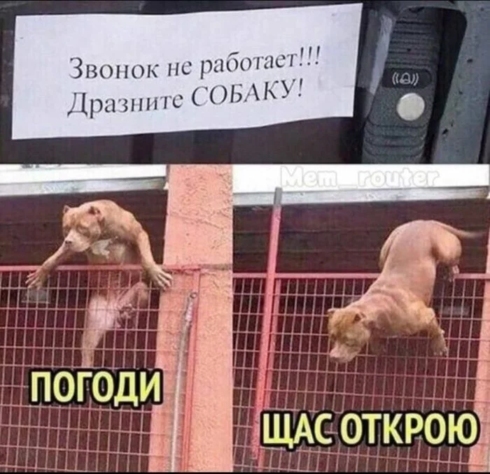 Порция смеха: лучшие мемы дня