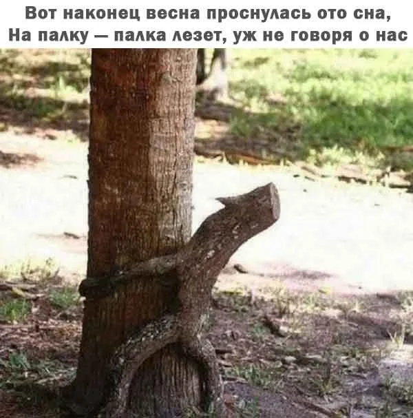 Порция смеха: лучшие мемы дня Порция смеха: лучшие мемы дня мемы, приколы, юмор, подборка