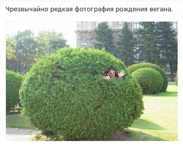 Порция смеха: лучшие мемы дня Порция смеха: лучшие мемы дня мемы, приколы, юмор, подборка