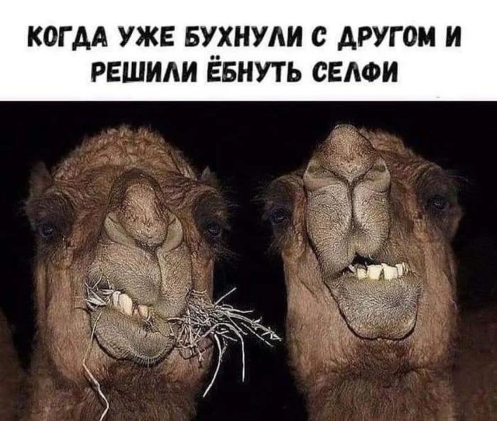 Угарная подборка мемов Угарная подборка мемов мемы, приколы, юмор, картинки, настроение