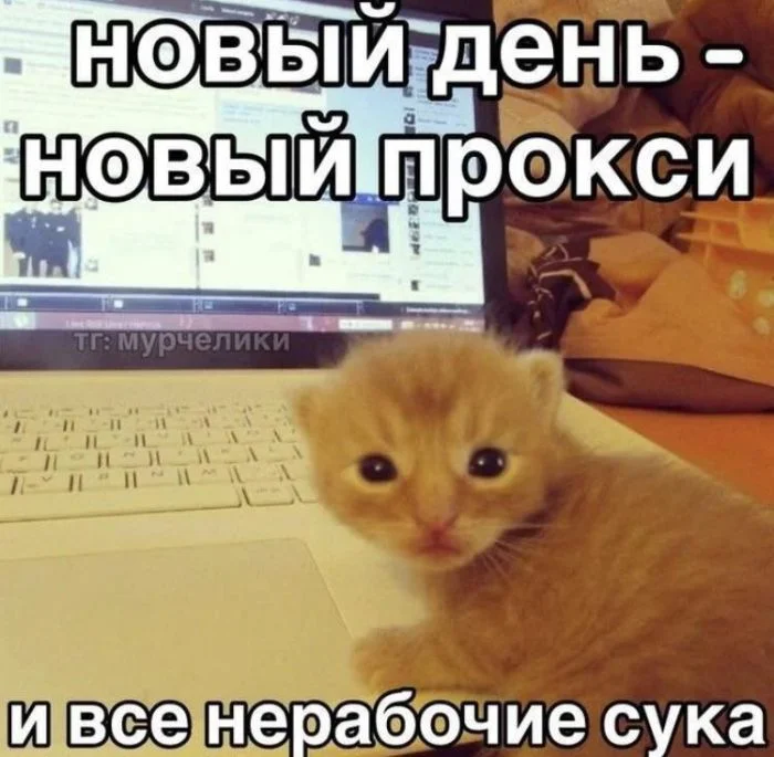 Угарная подборка мемов мемы, приколы, юмор, картинки, настроение