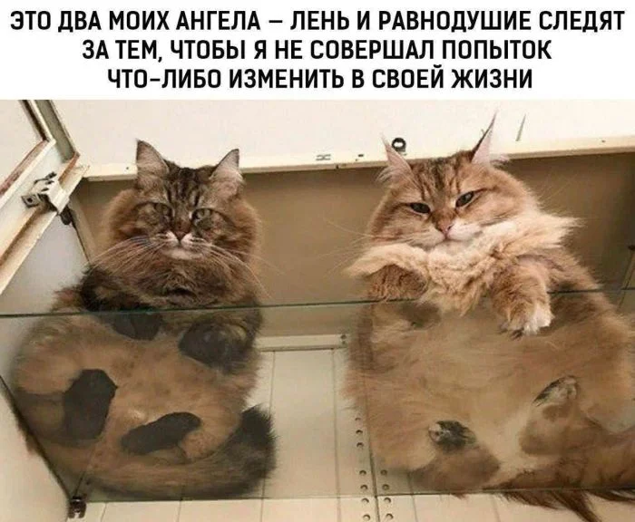 Угарная подборка мемов, от которых сложно удержаться мемы, приколы, юмор, картинки, подборка
