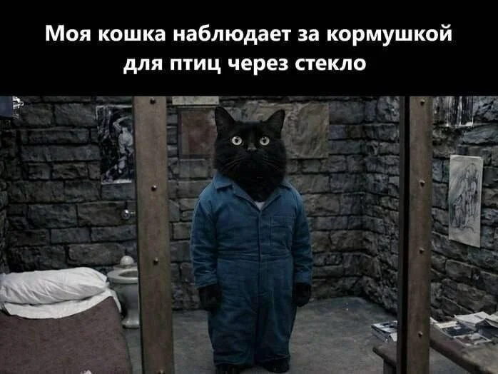 Угарная подборка мемов, от которых сложно удержаться мемы, приколы, юмор, картинки, подборка
