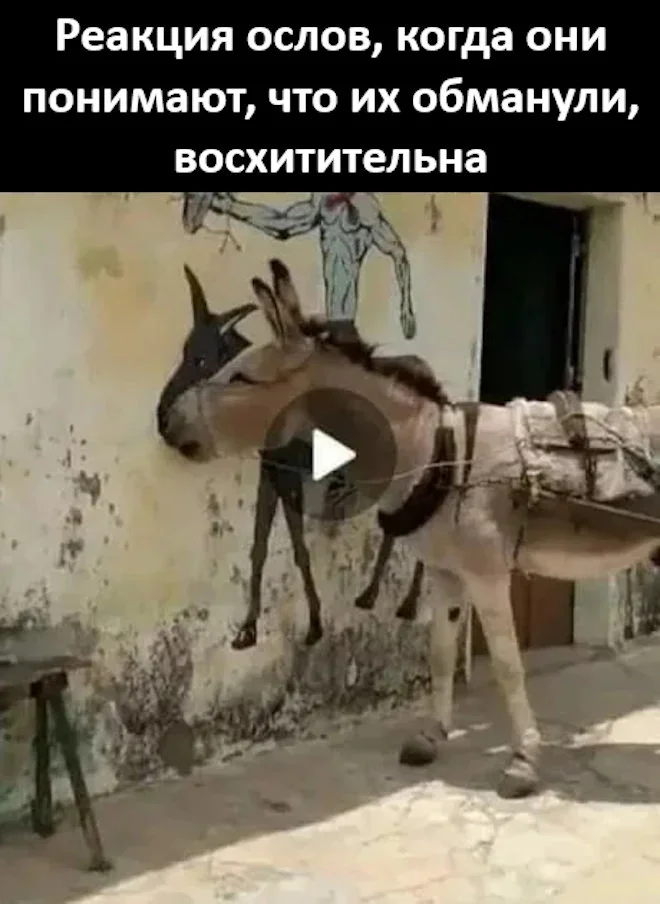 Угарная подборка мемов, от которых сложно удержаться мемы, приколы, юмор, картинки, подборка