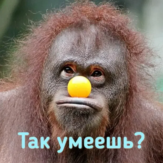 Свежие анекдоты и мемы: подборка на любой вкус анекдоты,приколы,юмор,смешные истории,подборка