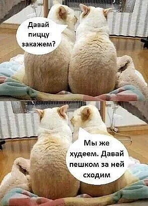 Мемы про ПП: когда диета уже заела правильное питание, мемы, приколы, юмор, картинки