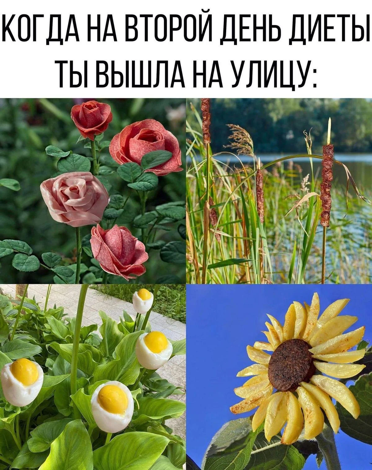 Мемы про ПП: когда диета уже заела правильное питание, мемы, приколы, юмор, картинки