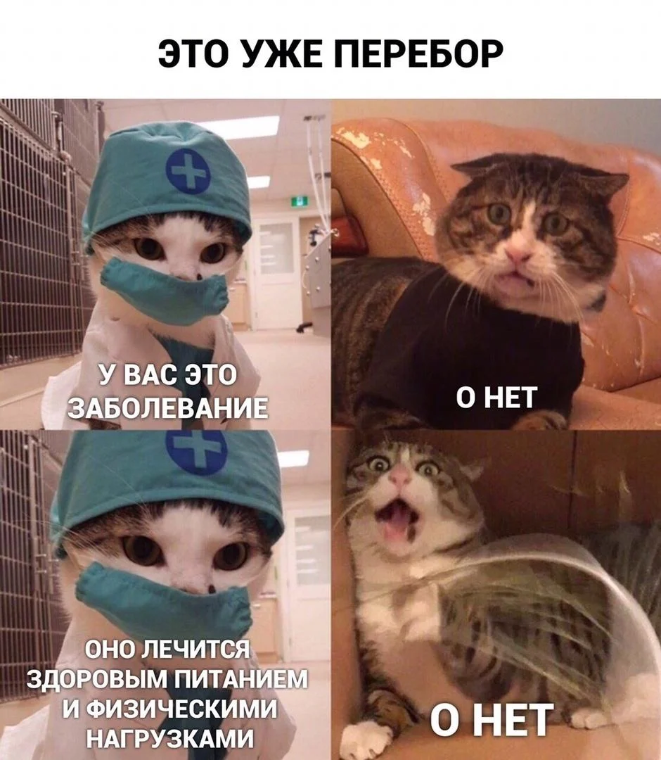 Мемы про ПП: когда диета уже заела правильное питание, мемы, приколы, юмор, картинки