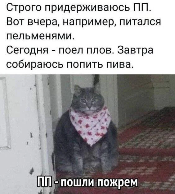 Мемы про ПП: когда диета уже заела правильное питание, мемы, приколы, юмор, картинки