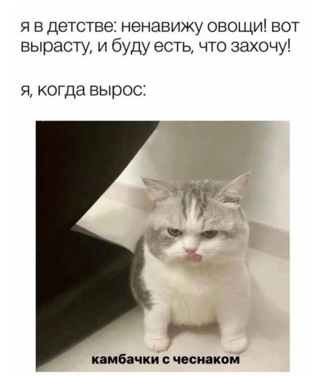 Мемы про ПП: когда диета уже заела правильное питание, мемы, приколы, юмор, картинки