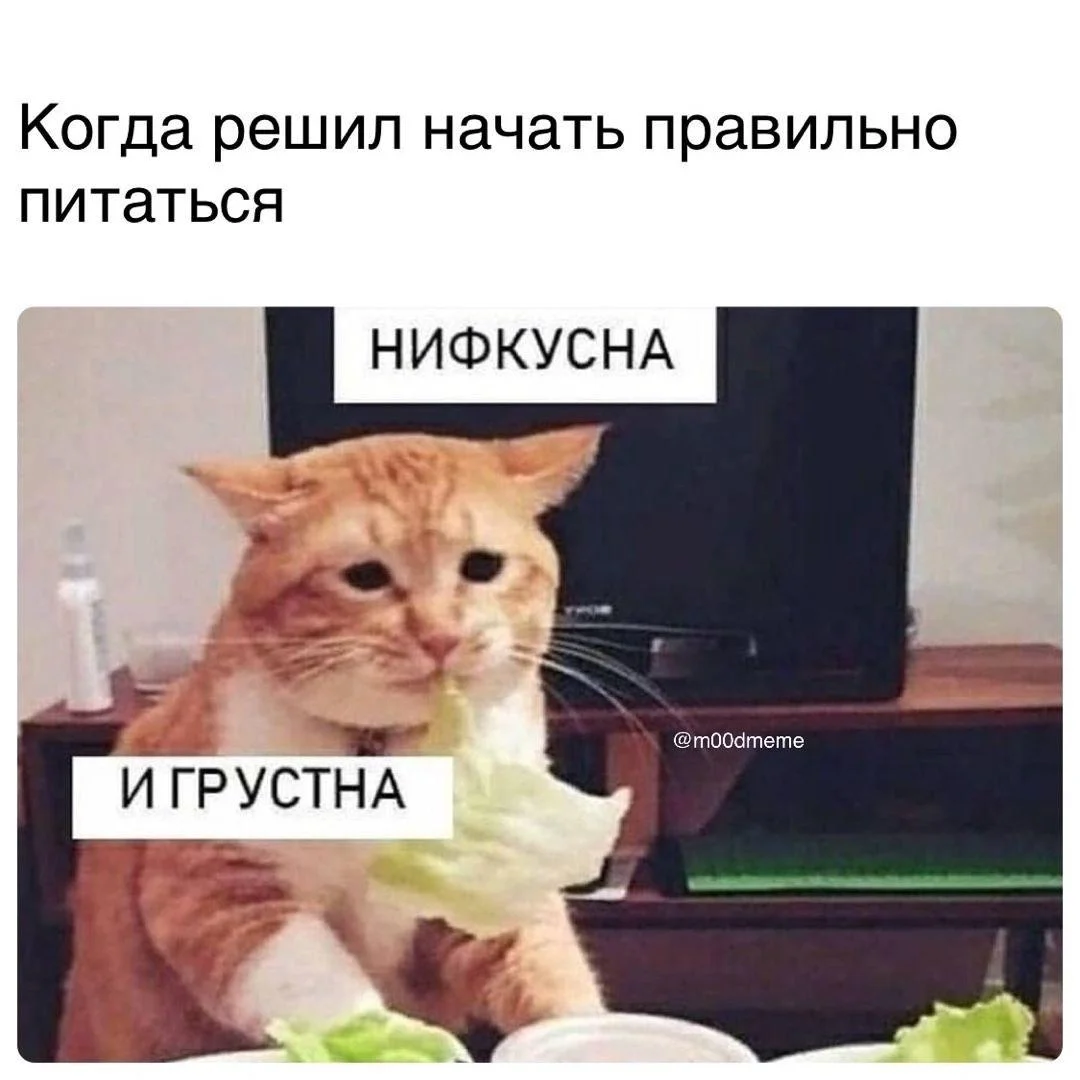 Мемы про ПП: когда диета уже заела правильное питание, мемы, приколы, юмор, картинки