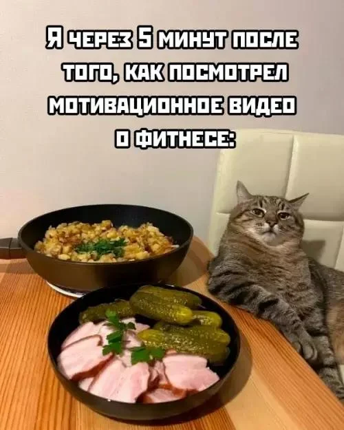Мемы про ПП: когда диета уже заела правильное питание, мемы, приколы, юмор, картинки