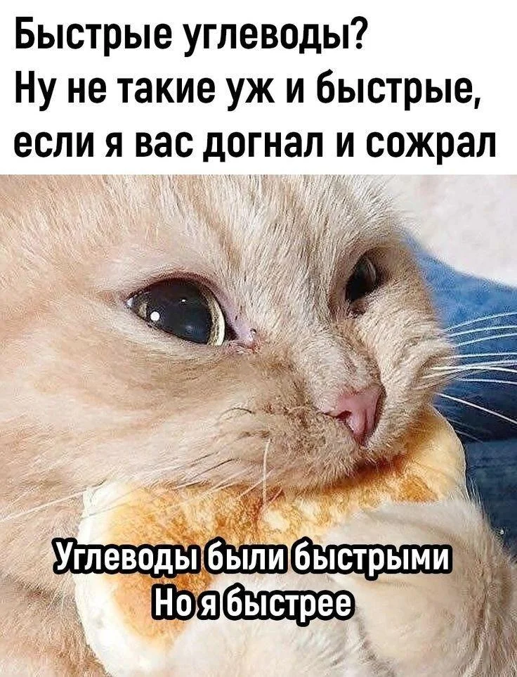 Мемы про ПП: когда диета уже заела правильное питание, мемы, приколы, юмор, картинки