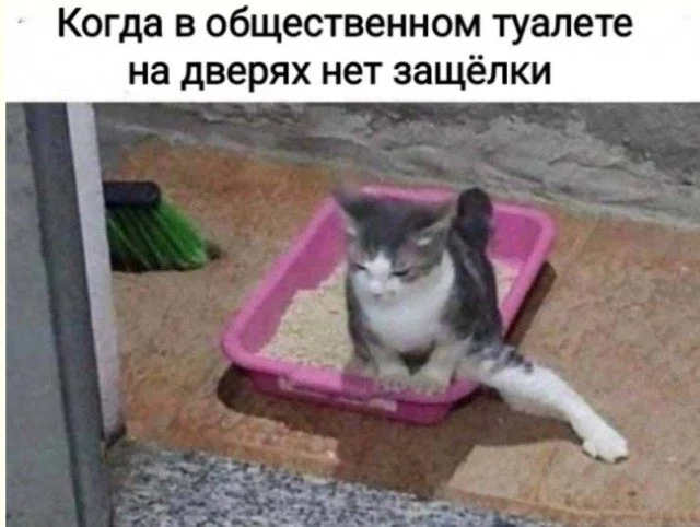 Мемы про «Ой, Блин»: когда всё пошло не так Мемы про «Ой, Блин»: когда всё пошло не так мемы, приколы, юмор, неудачи, картинки