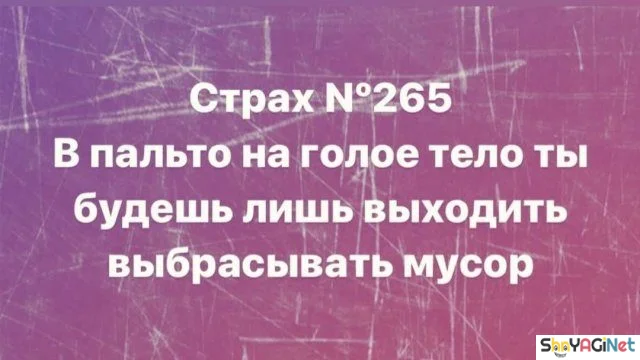 Сборник цитат, бьющих прямо в цель цитаты, приколы, юмор, фразы, жизнь